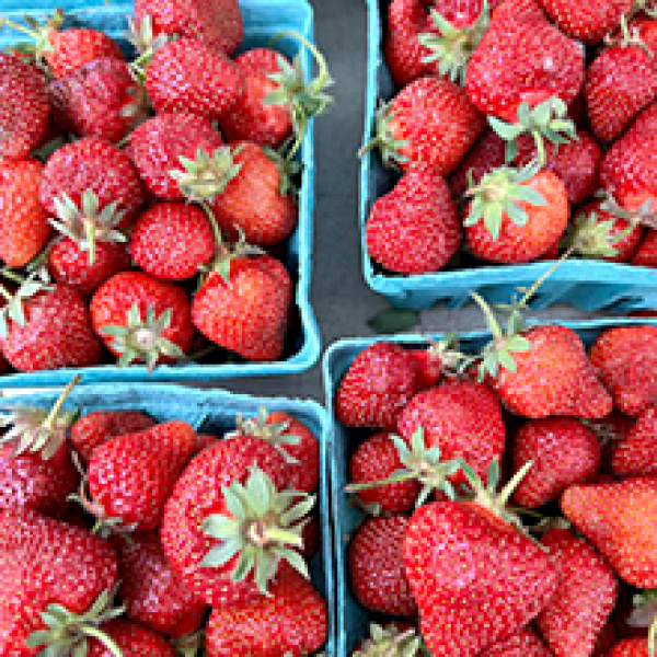 Farmers' Markets in Connecticut — 2024 CTvisit